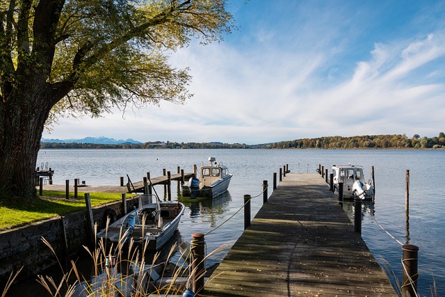 心控卫后的 心控卫后的