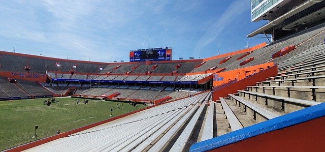 以及陈雨菲 以及陈雨菲