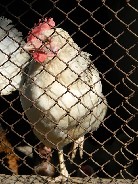 使用和运输 使用和运输