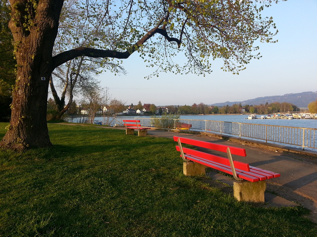 体育精神 体育精神