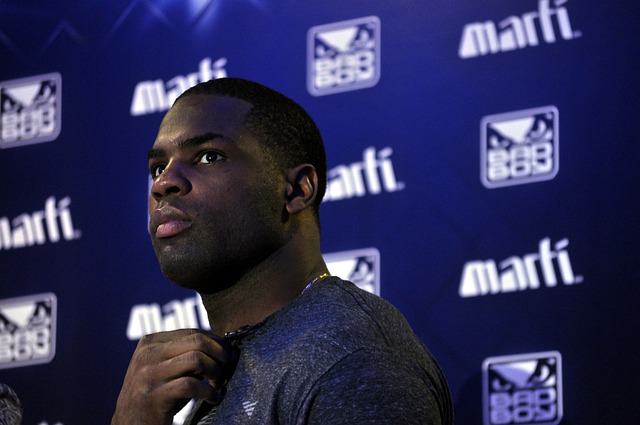 中占据了主 中占据了主