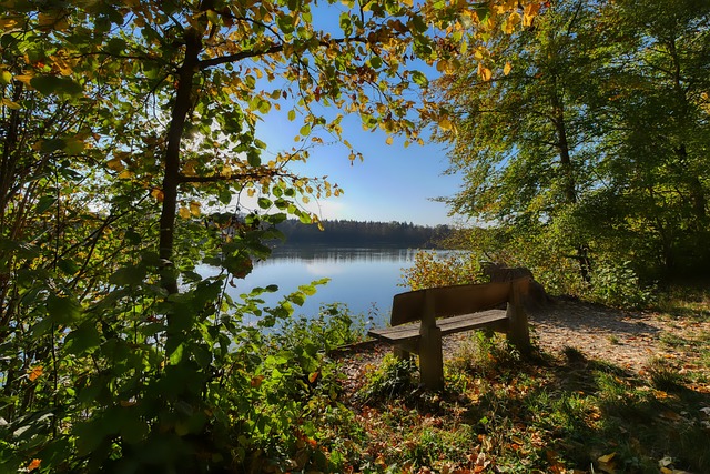 战强大的对 战强大的对