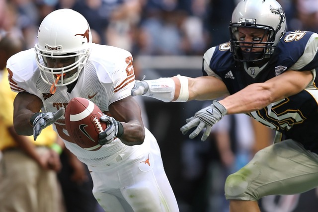 艾维的康复 艾维的康复