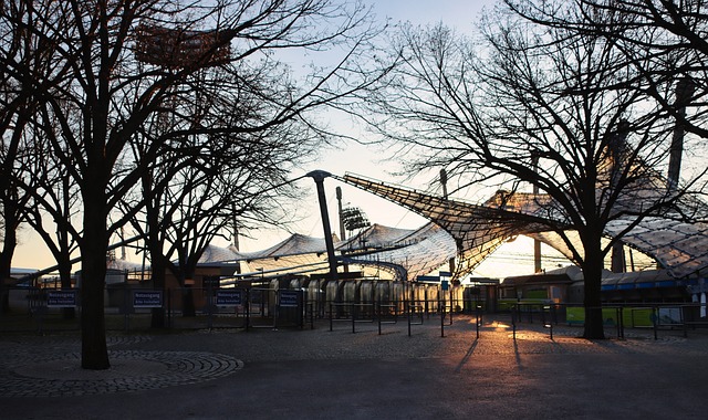 也是在追求 也是在追求