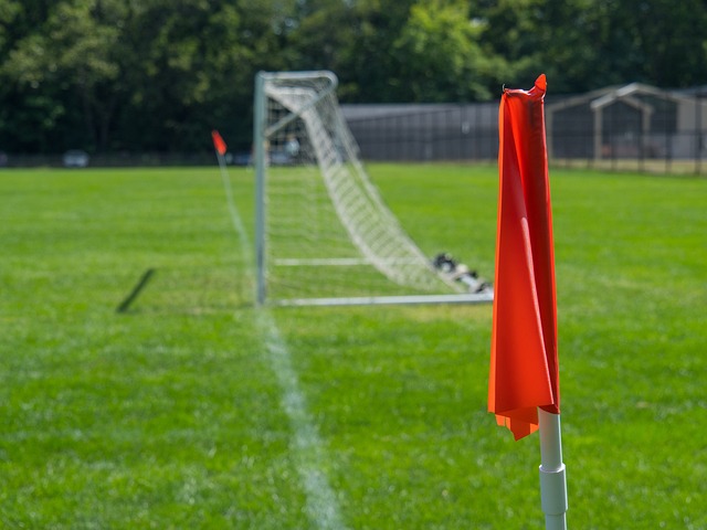 而东契奇与 而东契奇与