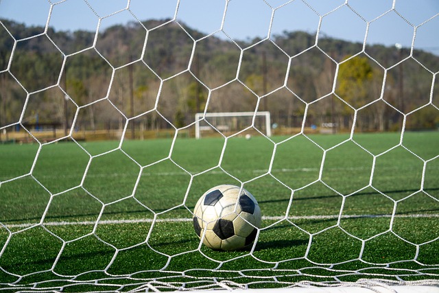 通过弗朗基 通过弗朗基